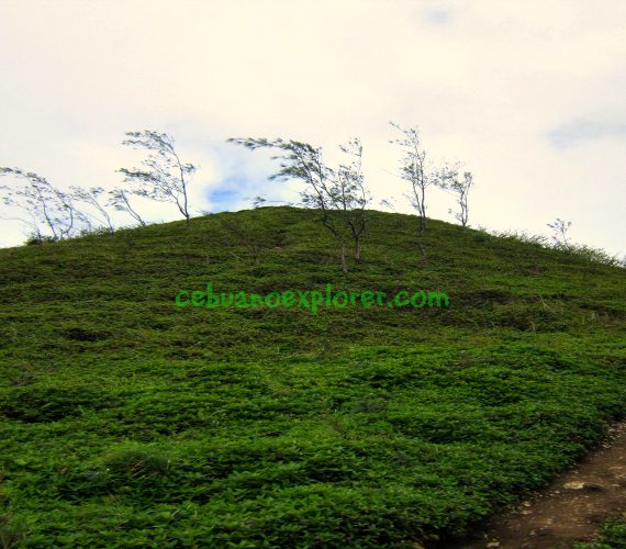 The beautiful view at Osmena Peak
