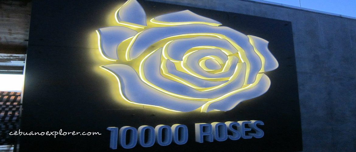 10k White Rose Cafe